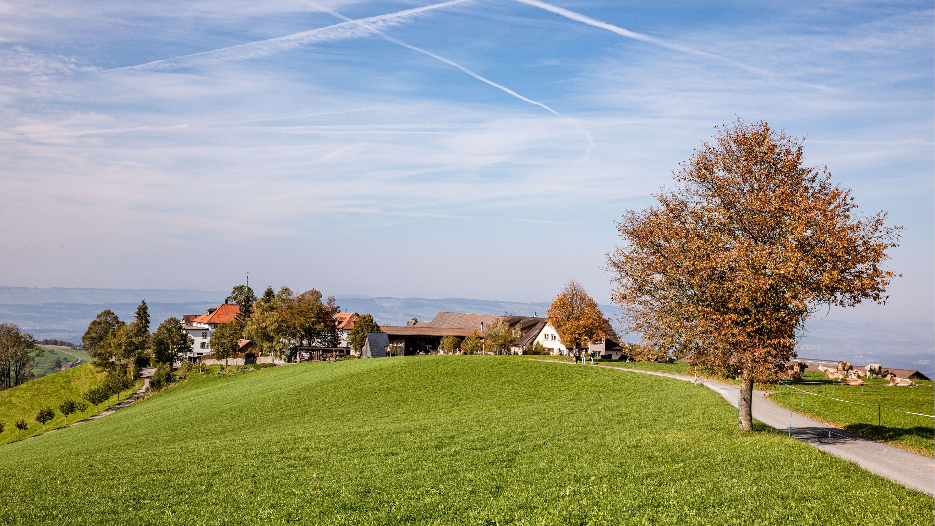 Beni Schmid Le petit chevrier